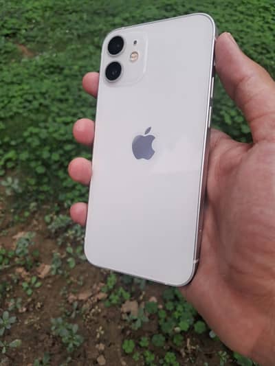 Apple iPhone 12 mini(mint condition)