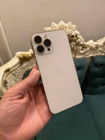 iPhone 13 Pro Max jv