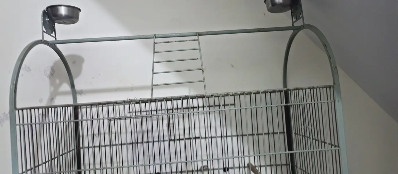 Raw Lovebird Cage Pingra — photo 2
