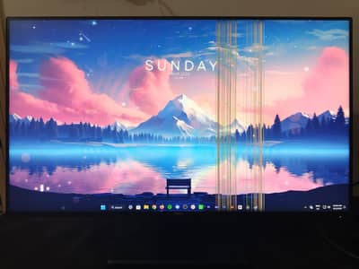 Dell 1080p 24 inch monitor