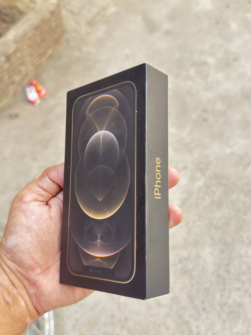 Apple iPhone 12 Pro 0
