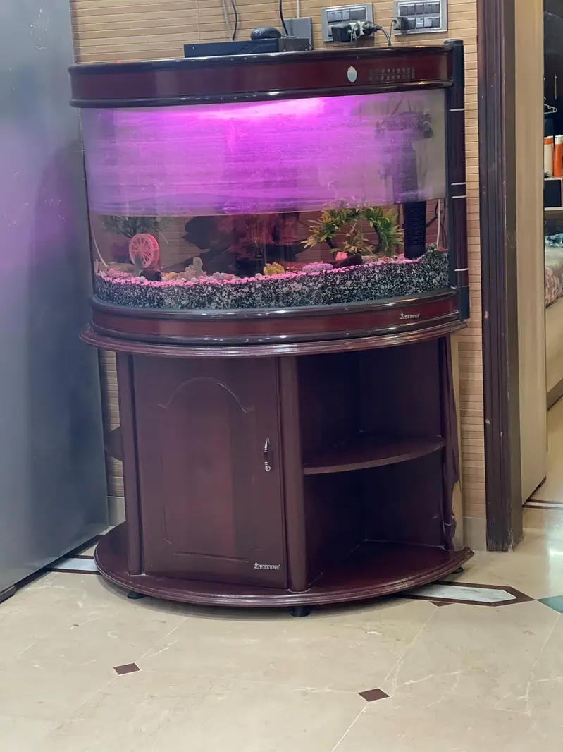 4.5 Feet Complete Aquarium Setup with Cabinet – Karachi — photo 3