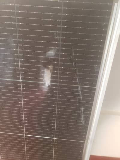 Jinko 585 Watt Solar Panel For Sale