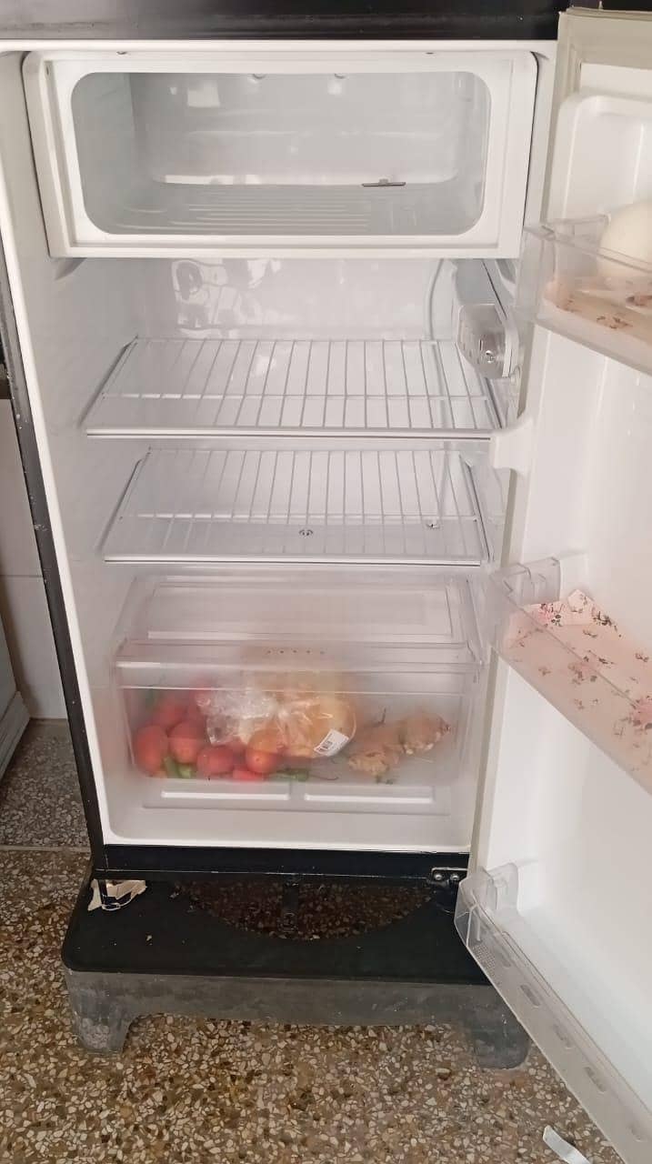 PEL Fridge 1