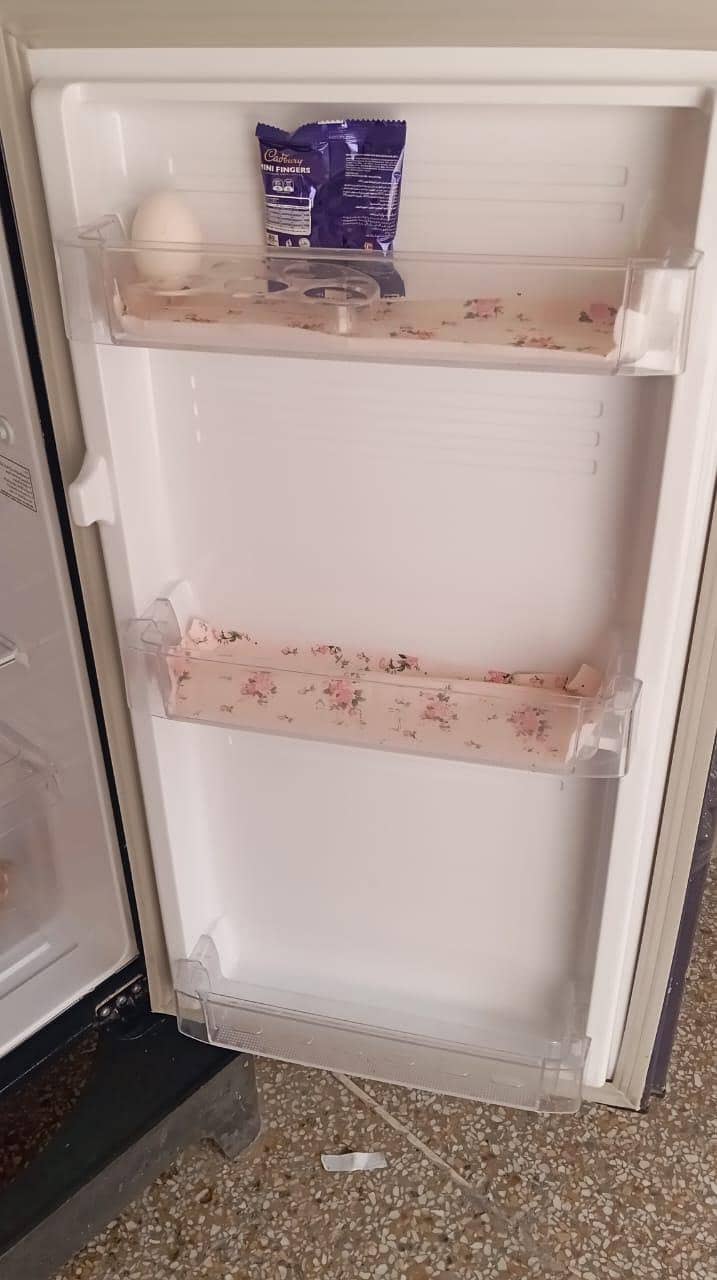 PEL Fridge 2