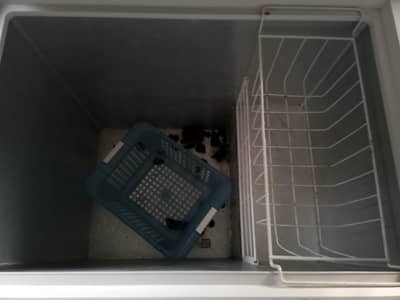 HAIER DEEP FREEZER