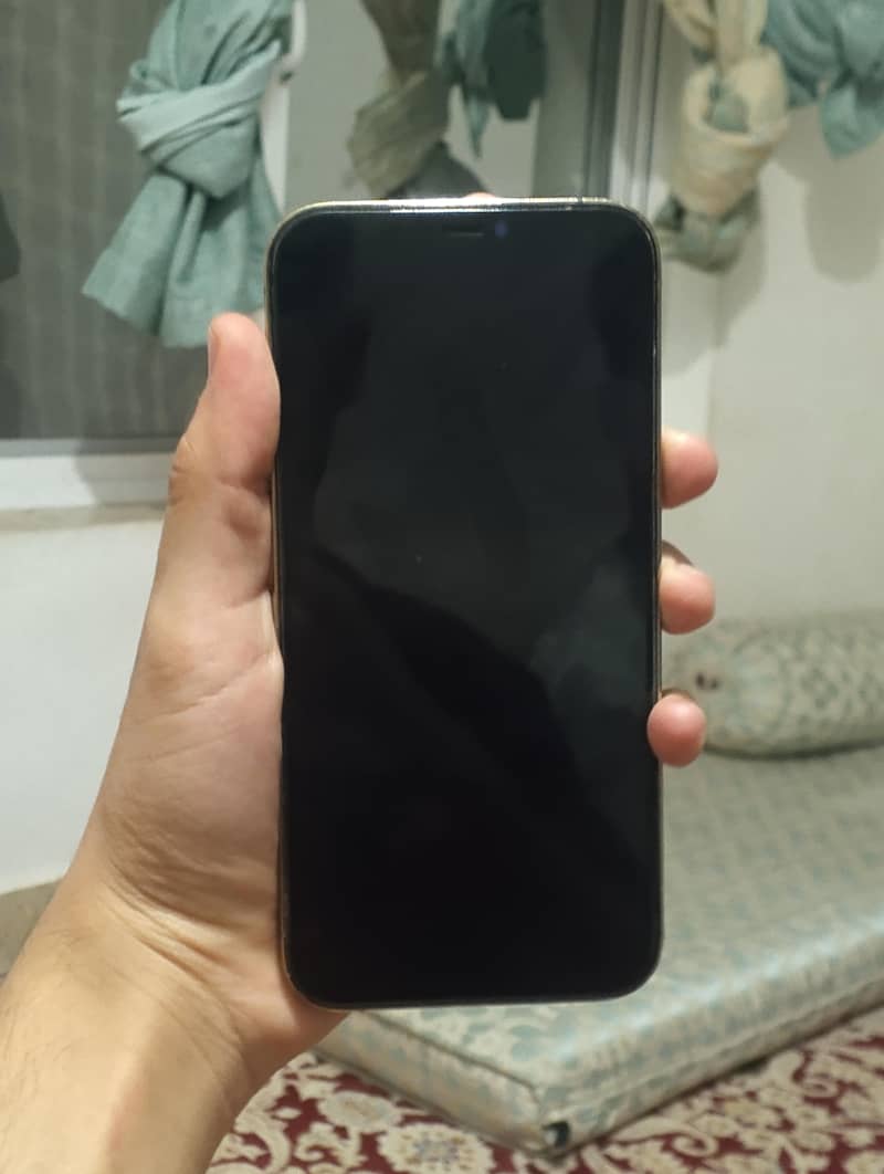 iphone 12 pro max 1