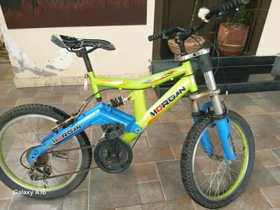 22" bicycle