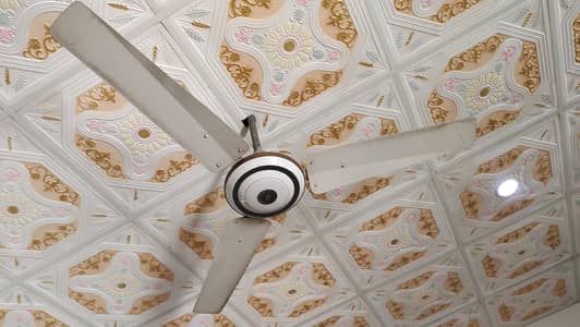 Used Ceiling Fan for Sale