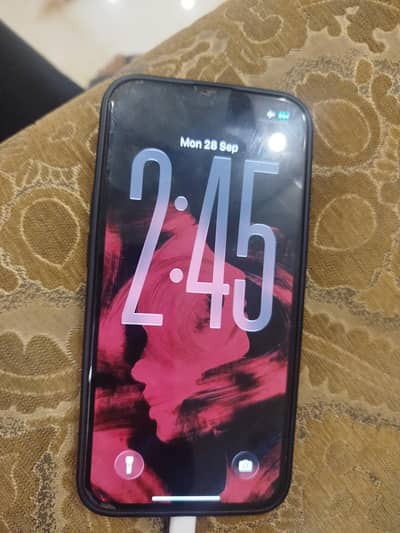 Apple iPhone 13 Pro bypss