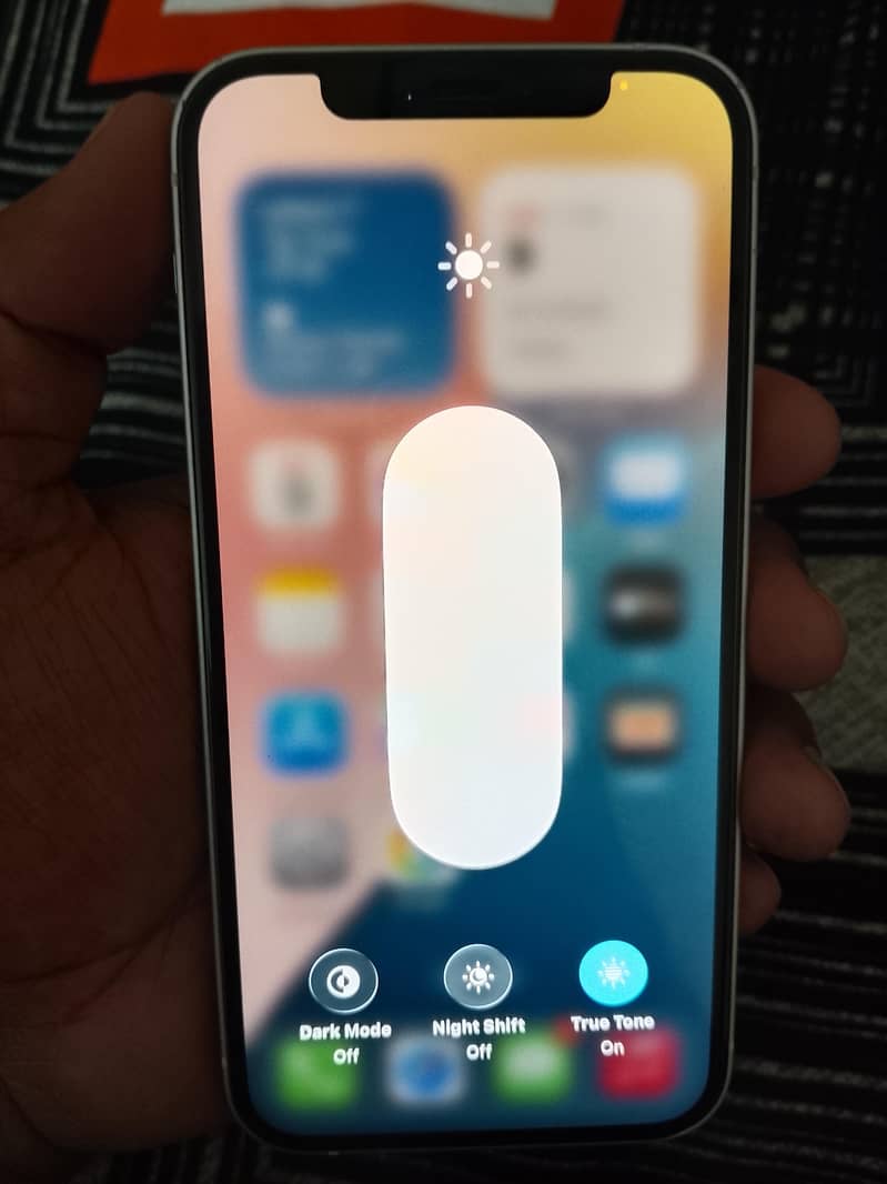 Apple iPhone 12 1