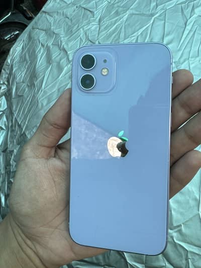 Apple iPhone 12