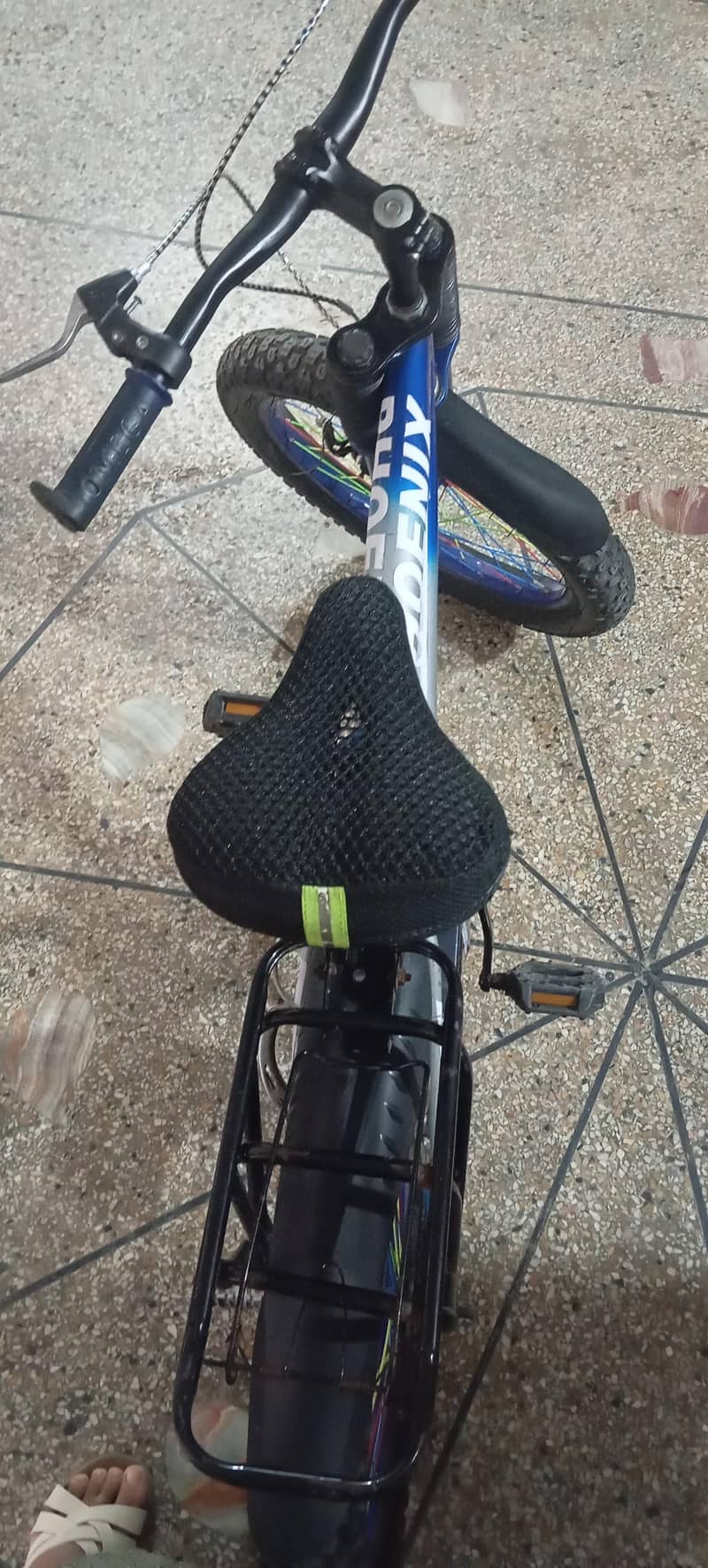 Bicycle Cycle 5