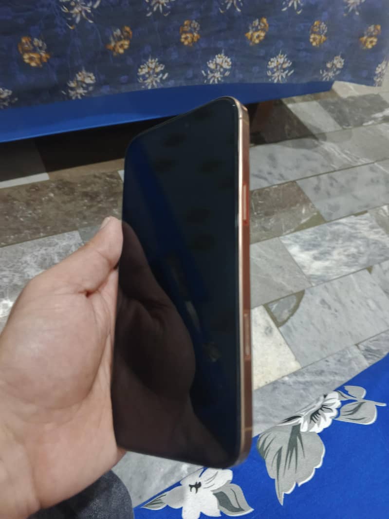 Apple iPhone 16 Pro Max 2