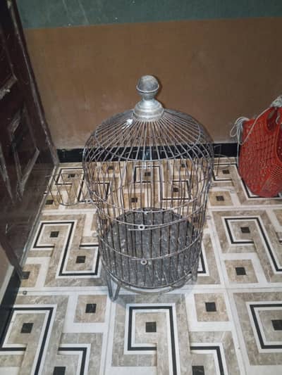 parrot cage