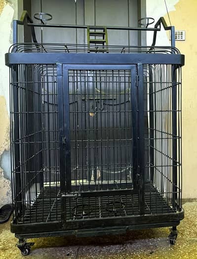 Bird cage for sale