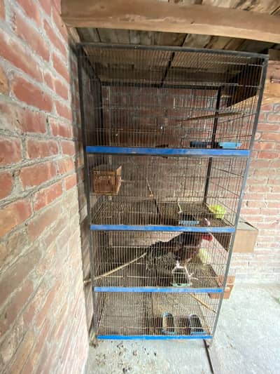 birds cage 1.5x. 1.5