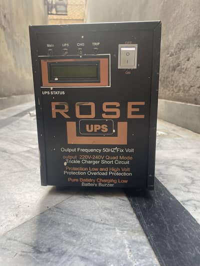 ROSE UPS 03261785558