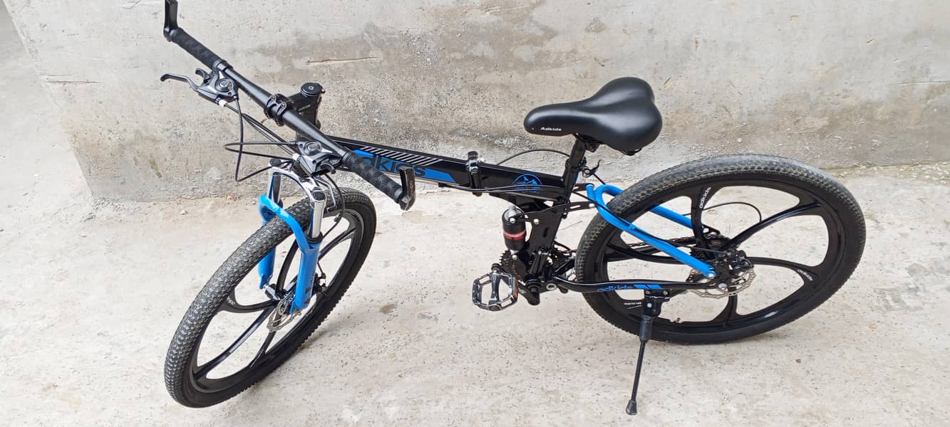 Bicycle 6