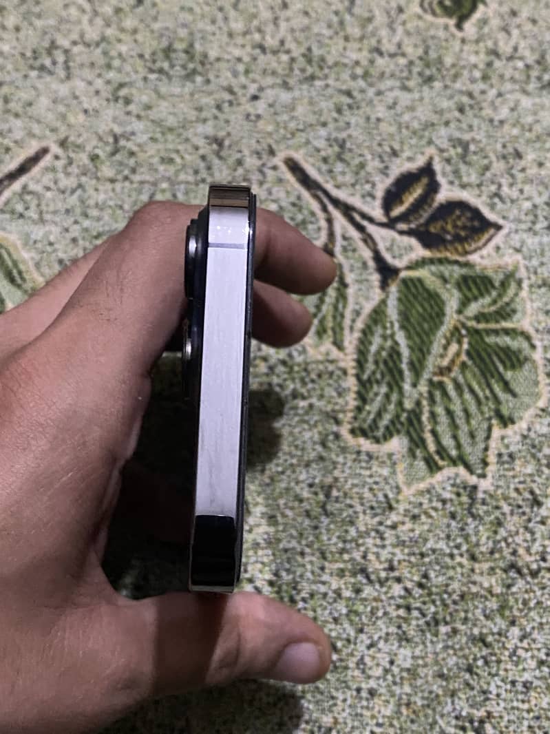 Apple iPhone 13 Pro 2