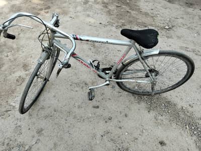 pheonix Racing Cycle