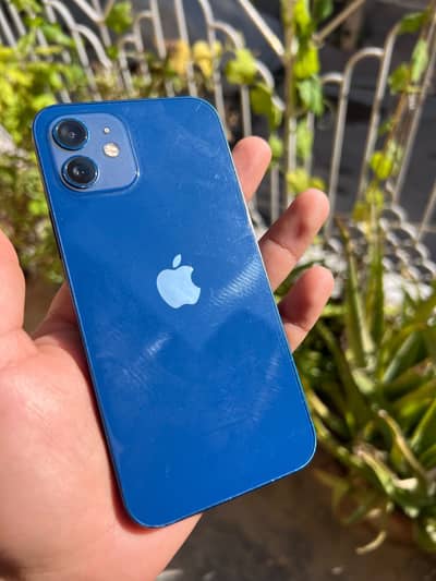 Apple iPhone 12