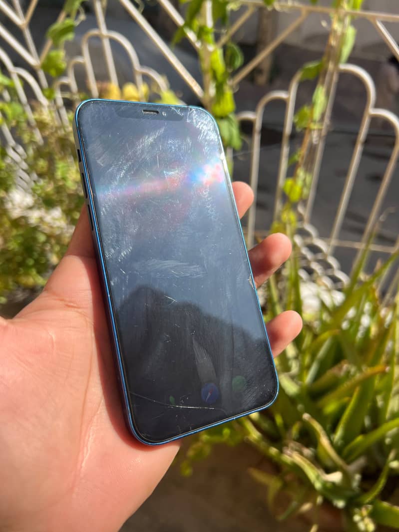 Apple iPhone 12 1