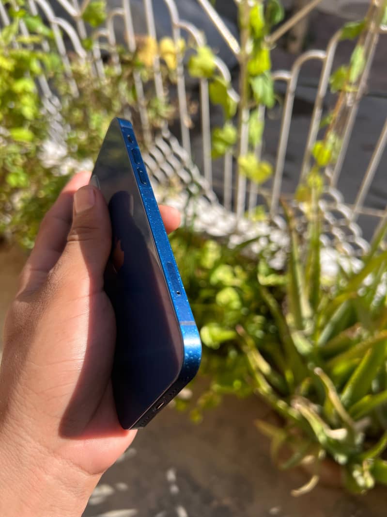 Apple iPhone 12 2