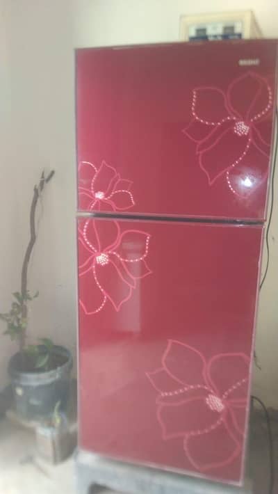 good condition fridge reasonable price medium fridge orient