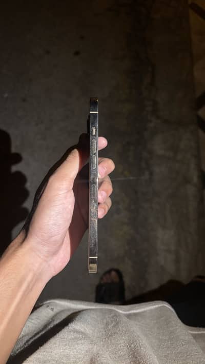 Apple iPhone 12 Pro Max