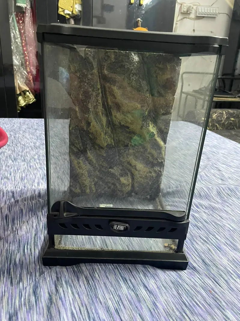 exo terra original terrarium30x3x45 tank for sale — photo 2