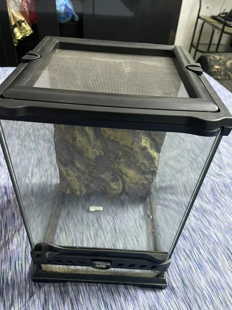 exo terra original terrarium30x3x45 tank for sale — photo 3
