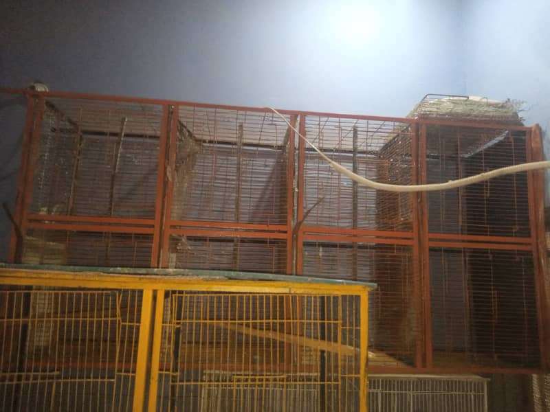 Bird cage 1