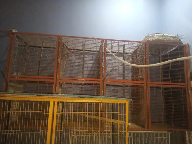 Bird cage — photo 2