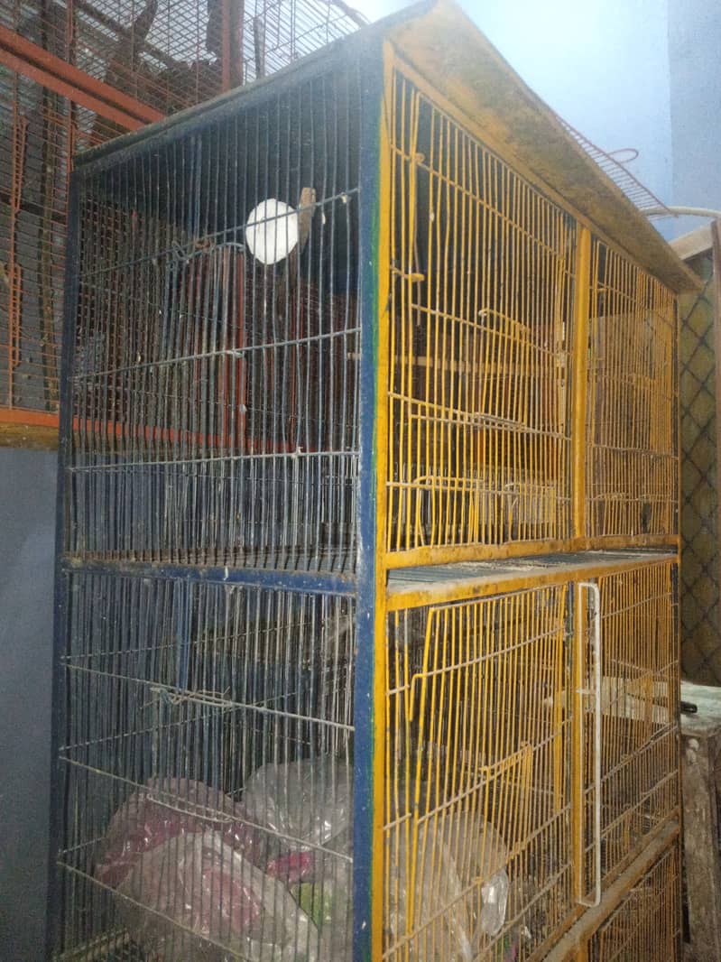 Bird cage 2