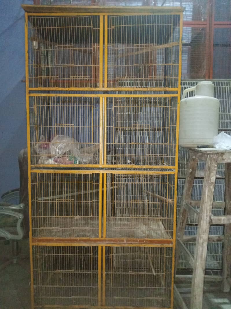 Bird cage 3