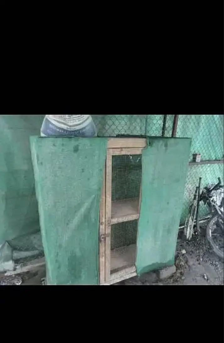 Hen cage for sale in very good condition only inside wood damage — photo 3