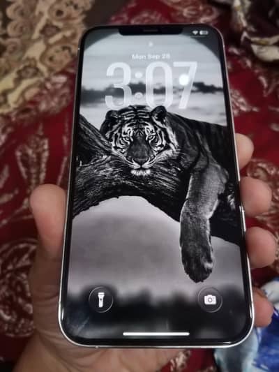Apple iPhone 12 Pro Max