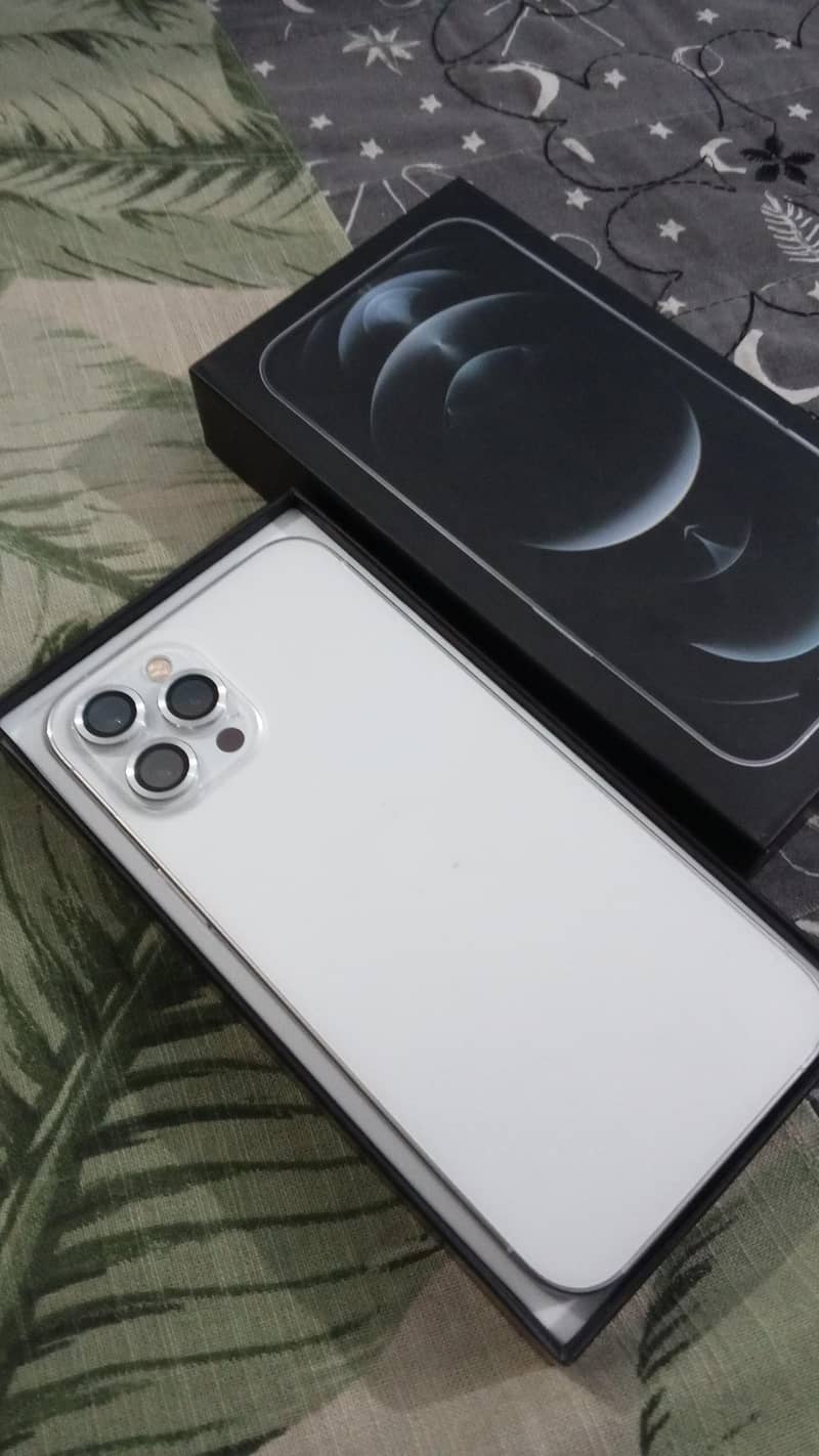 Apple iPhone 12 Pro Max 1