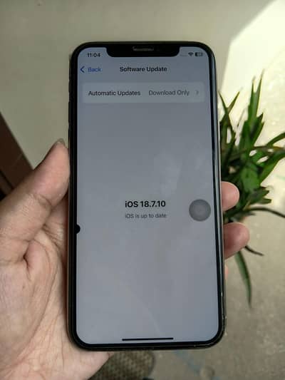 Apple iPhone XS
