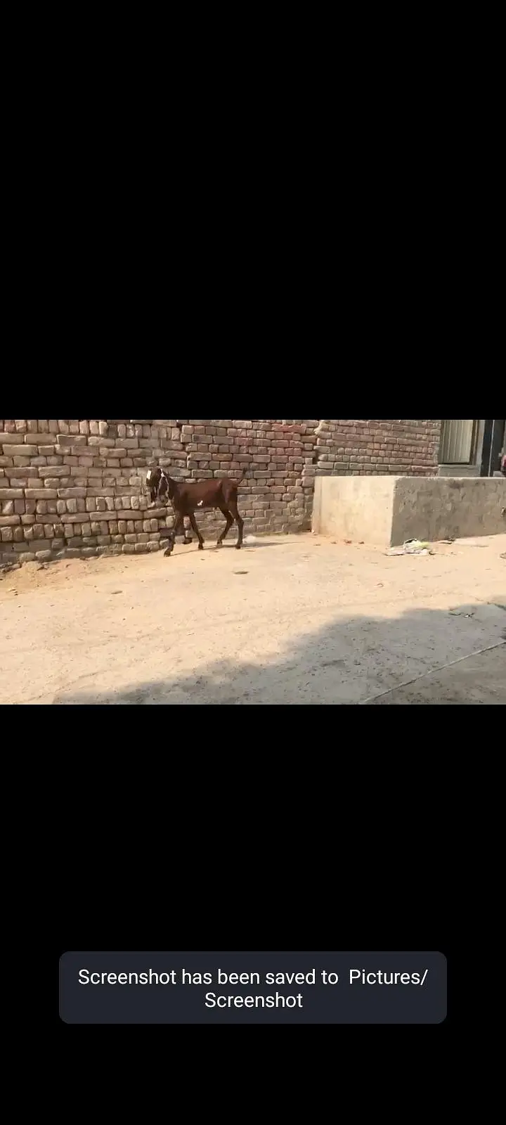 nagra breader baccha top class ki cheez hay age 4month — photo 3