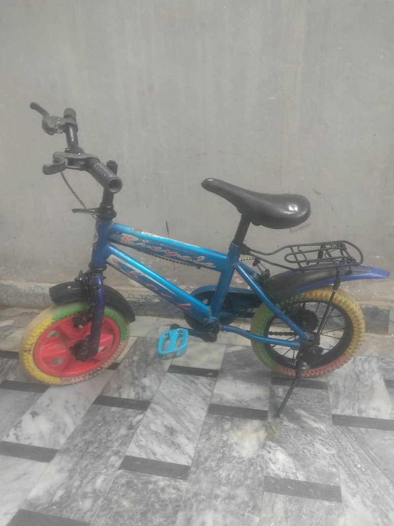 cycle  12 size 3