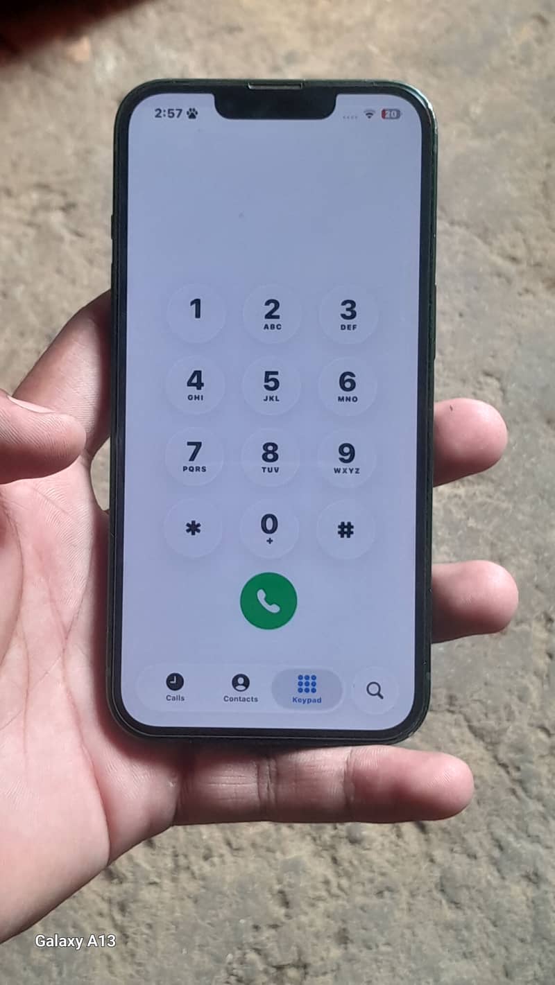 Apple iPhone 13 0