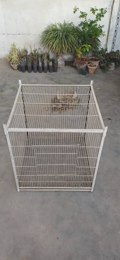 Heavy Duty Iron Bird Cage