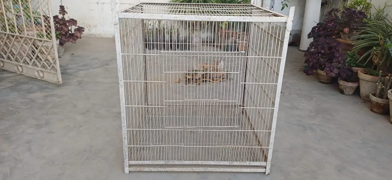 Heavy Duty Iron Bird Cage — photo 2
