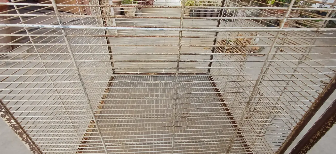Heavy Duty Iron Bird Cage — photo 3