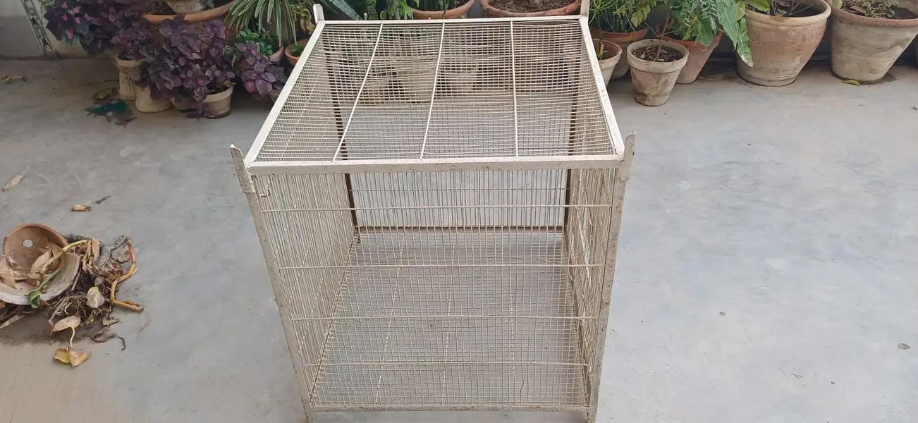 Heavy Duty Iron Bird Cage — photo 4