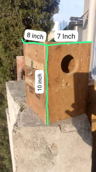 Kiker Wood Breeding Box