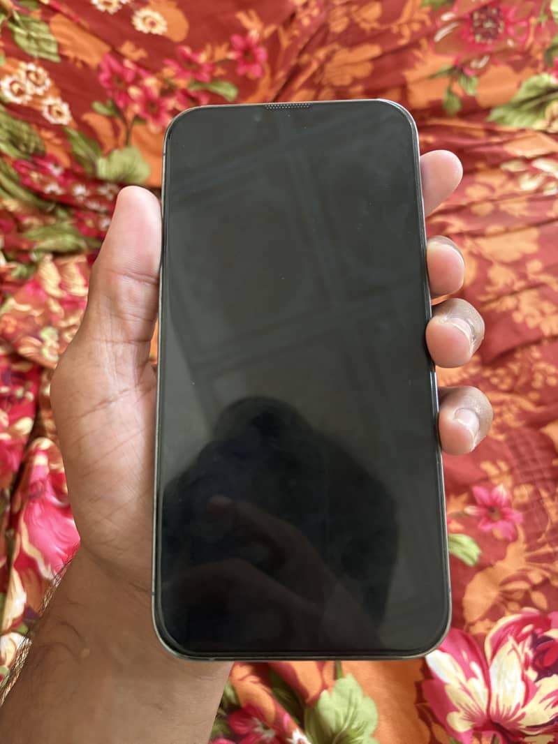 Apple iPhone 13 Pro Max 2