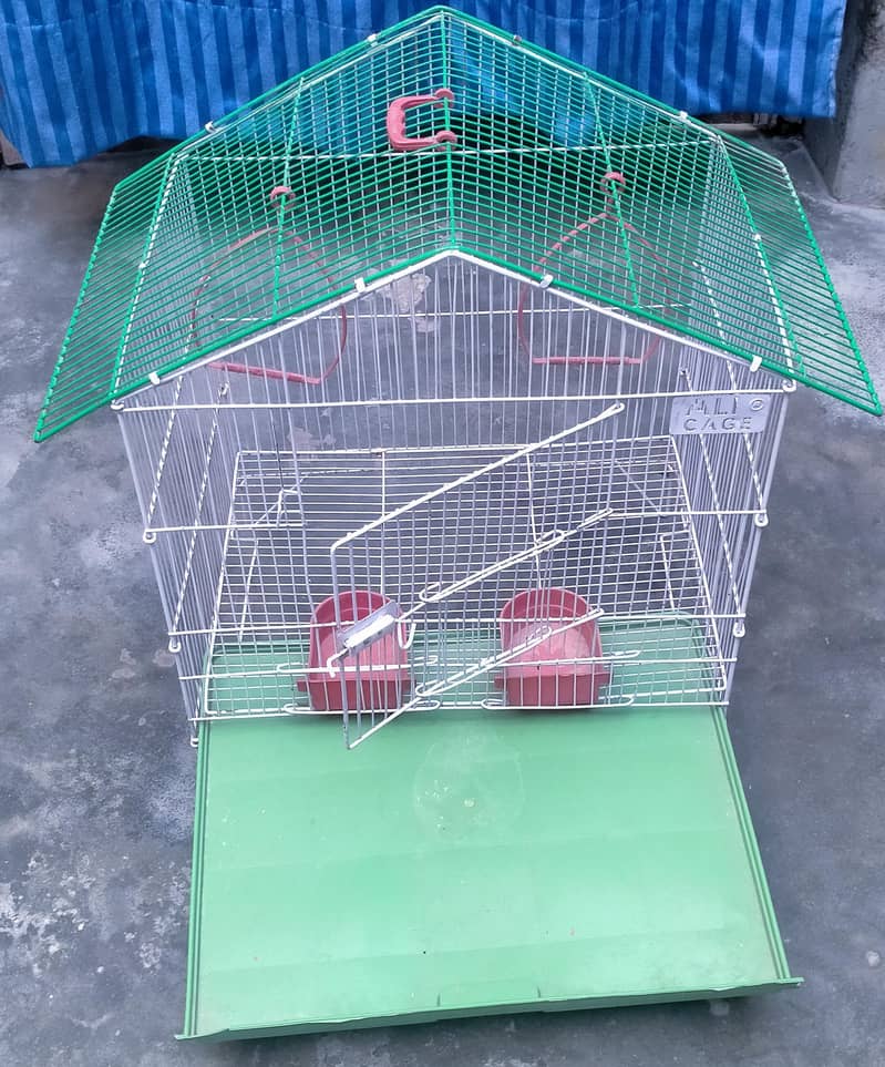 bird Cage 2